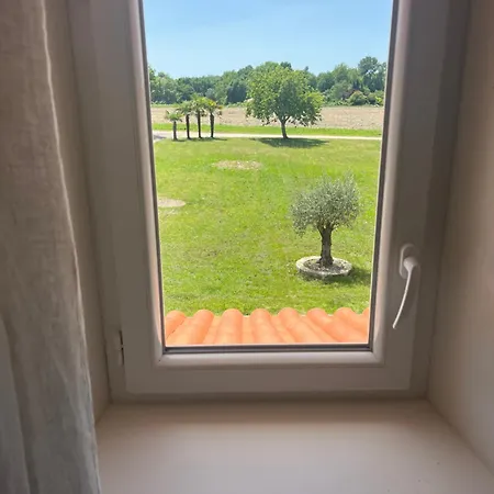 Charmante Maison Viticole Dans Le Médoc Jau-Dignac-et-Loirac
